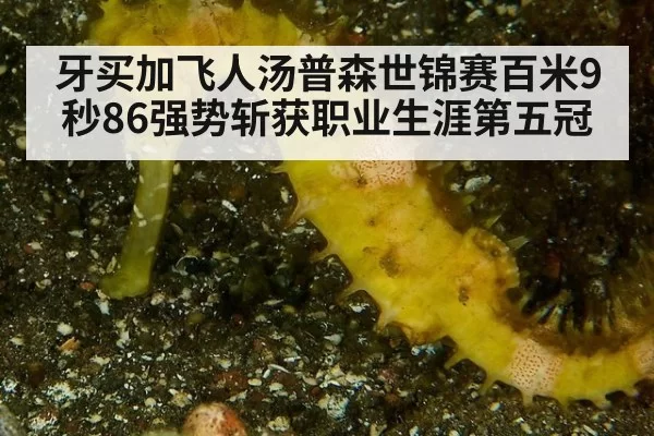 牙买加飞人汤普森世锦赛百米9秒86强势斩获职业生涯第五冠
